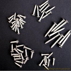 54 ASSORTED ELECTRIC GUITAR SCREWS CHROME